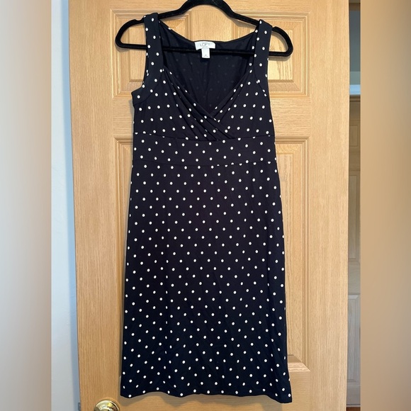 Ann Taylor Polka Dot Navy Dress - Picture 1 of 13